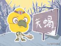 苏州二进制网络信息技术有限公司