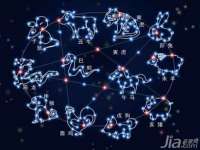 苏州二进制网络信息技术有限公司