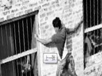 苏州二进制网络信息技术有限公司