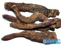 苏州二进制网络信息技术有限公司