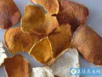 苏州二进制网络信息技术有限公司