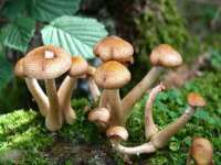苏州二进制网络信息技术有限公司