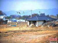 苏州二进制网络信息技术有限公司