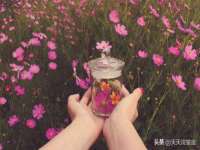 苏州二进制网络信息技术有限公司