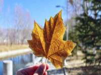 苏州二进制网络信息技术有限公司