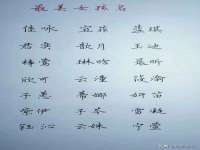 苏州二进制网络信息技术有限公司