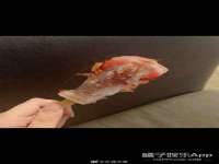 苏州二进制网络信息技术有限公司