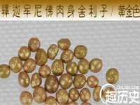 苏州二进制网络信息技术有限公司