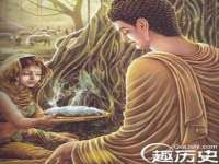 苏州二进制网络信息技术有限公司