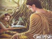 苏州二进制网络信息技术有限公司